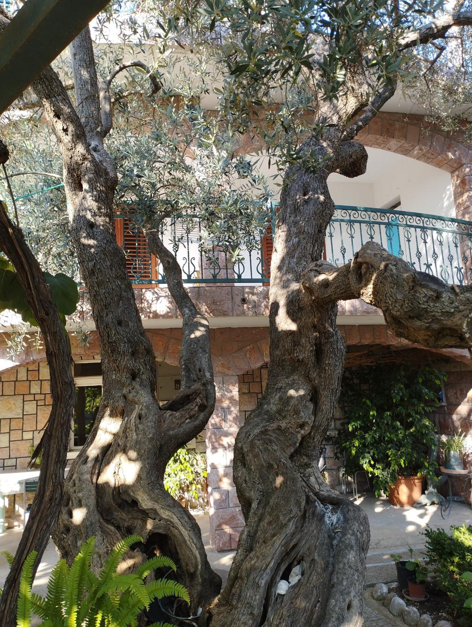 Zoro Apartments Sveti Stefan Ruang foto